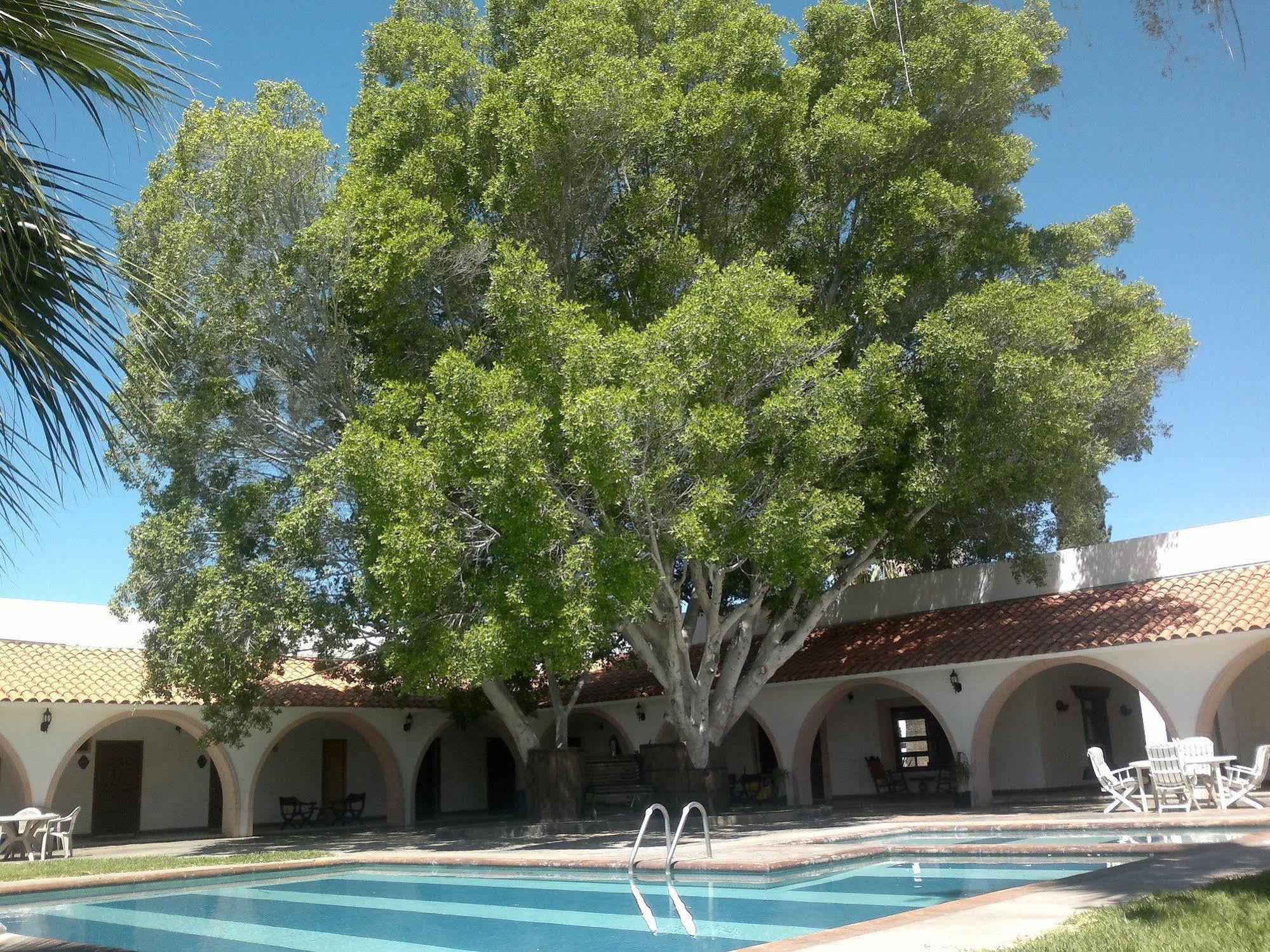 Hotel Mision Catavina Εξωτερικό φωτογραφία